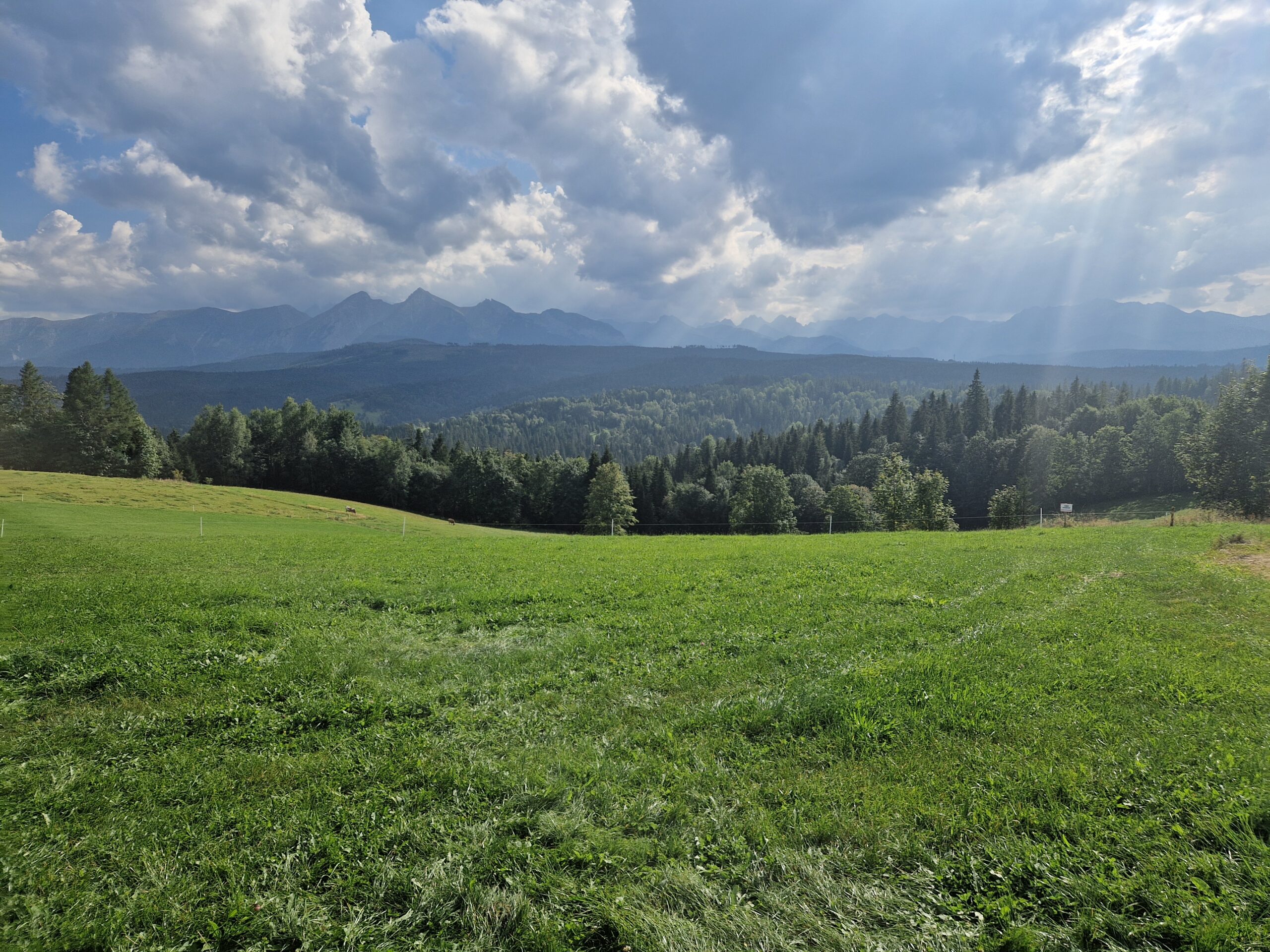 Copy of 20240907_152019