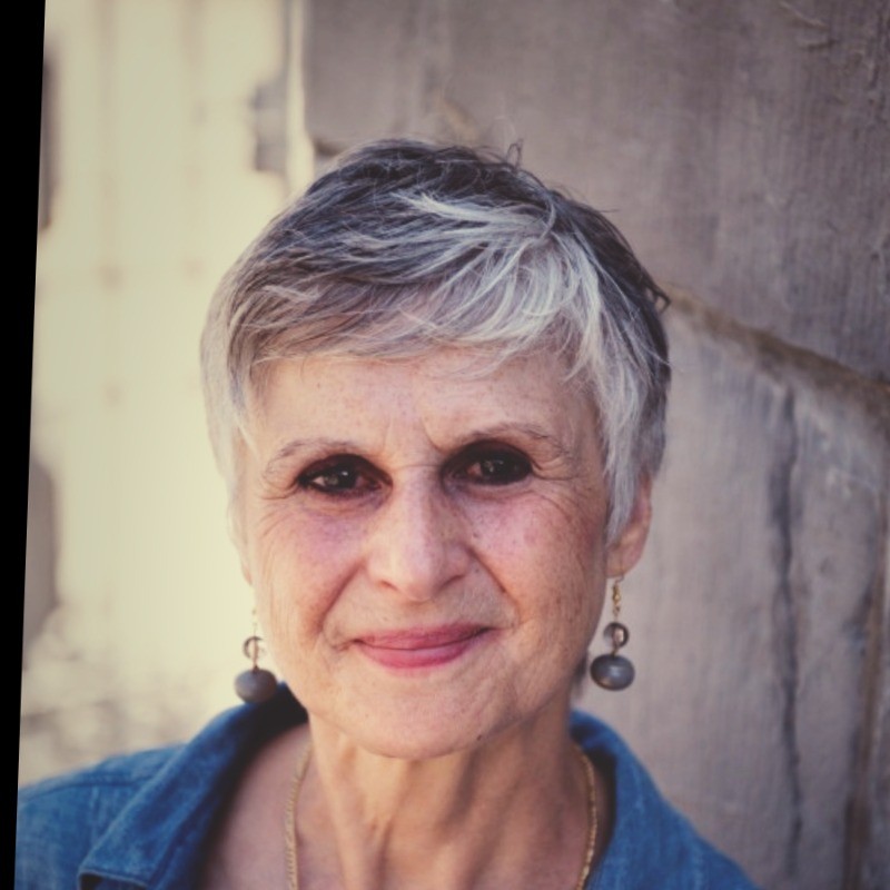 Anita Sheehan profile picture